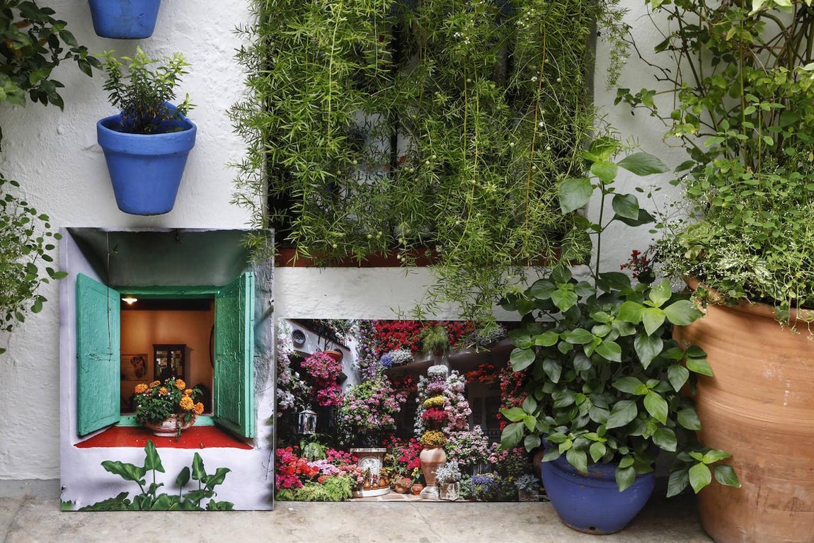 La entrega de premios del concurso de fotografía de ABC Córdoba, en imágenes