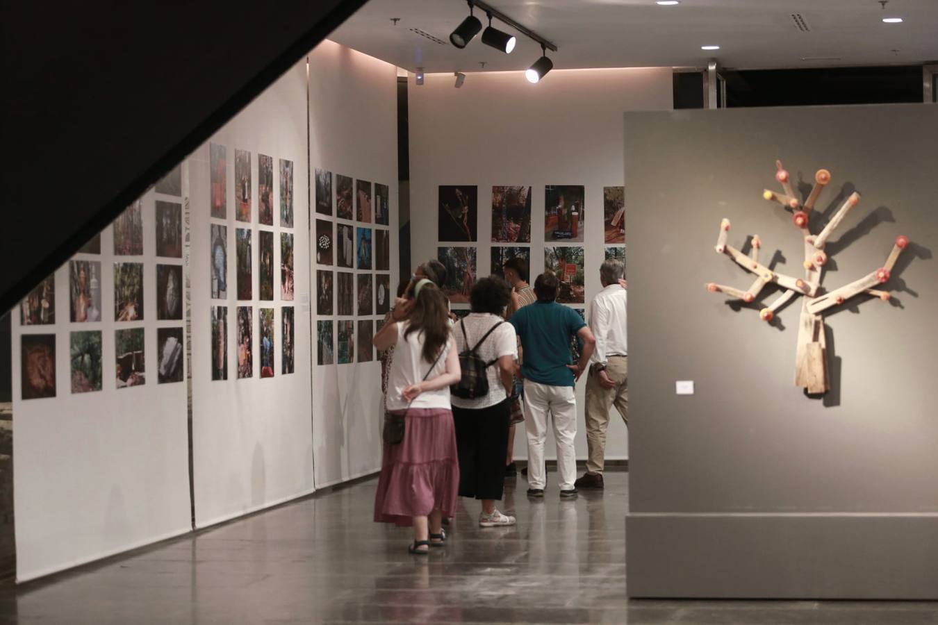 Inauguración de la exposición 'Ars Natura' en la Sala Antiquarium