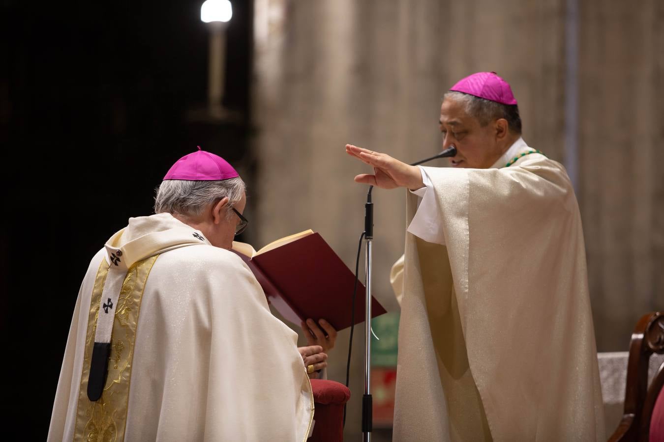 José Ángel Saiz ha dicho que el palio se convierte «en símbolo de nuestro amor a Cristo Buen Pastor, y de que, unidos a Él, debemos amar a todas las personas, en particular a los heridos» y que ser pastores en la Iglesia de Cristo significa justamente «participar en esta tarea, que el palio nos recuerda»