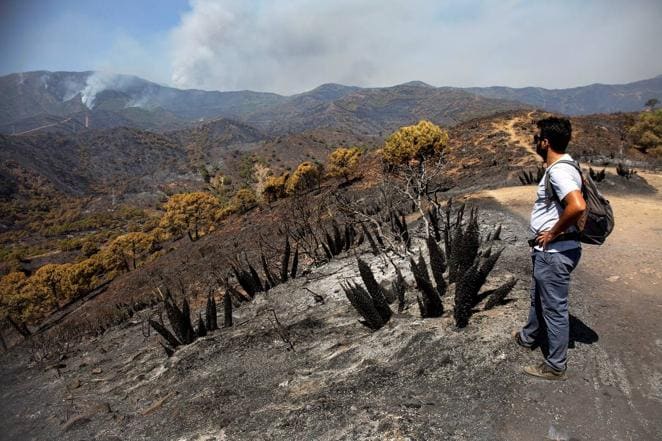 El Gobierno despliega a la UME en el incendio de Sierra Bermeja tras el desalojo de 2.000 personas