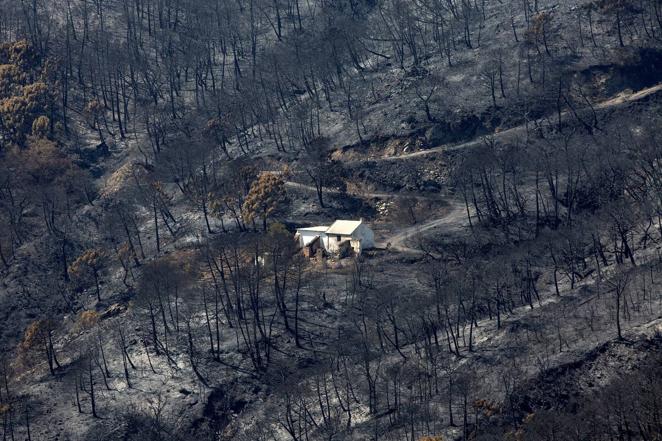 En imágenes, incendio de Sierra de Bermeja en Málaga