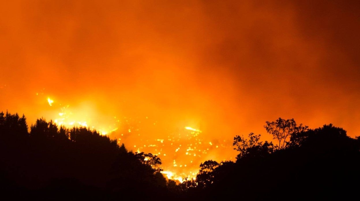 En imágenes, Sierra Bermeja, el peor incendio de los últimos tiempos en Andalucía