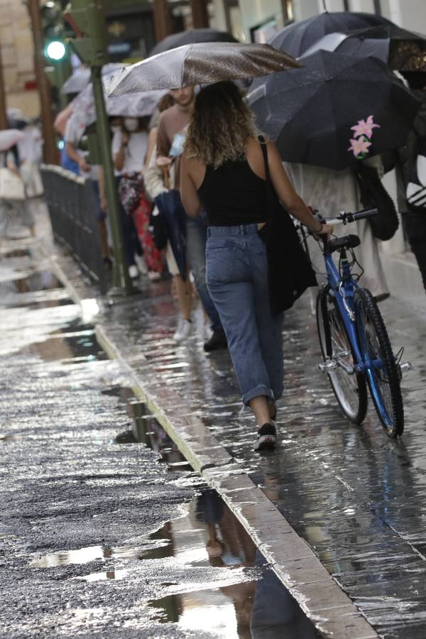 La lluvia deja un acumulado de casi 27 litros por metro cuadrado en Sevilla