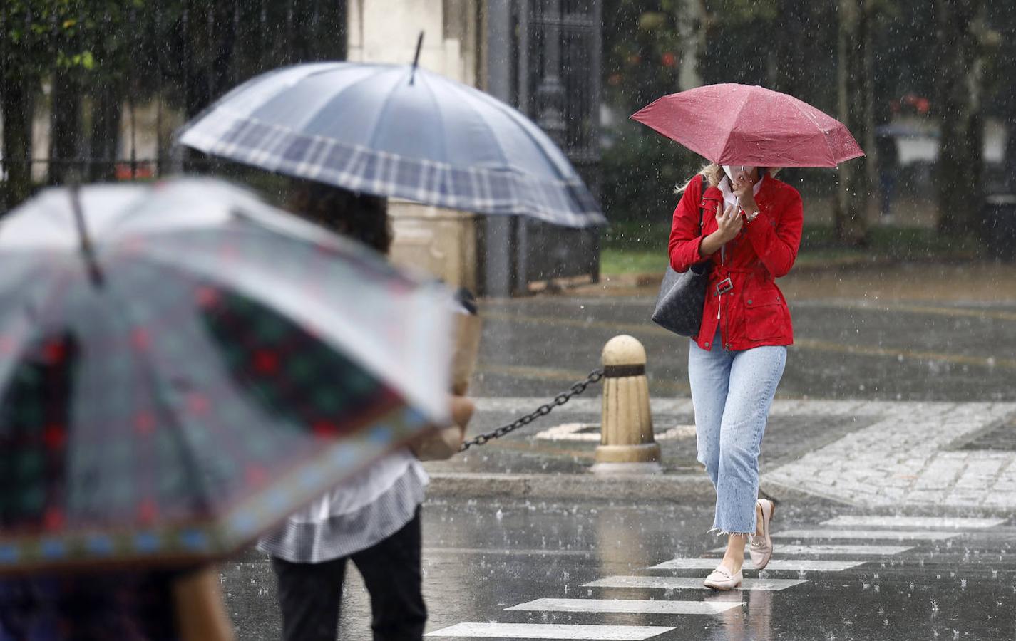 El regreso de las lluvias a Córdoba, en imágenes