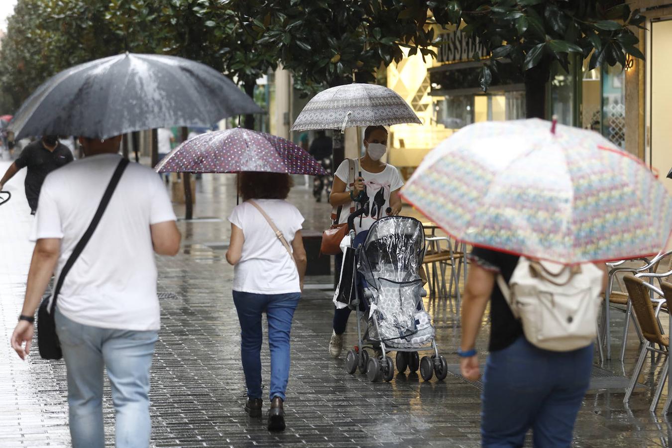 El regreso de las lluvias a Córdoba, en imágenes