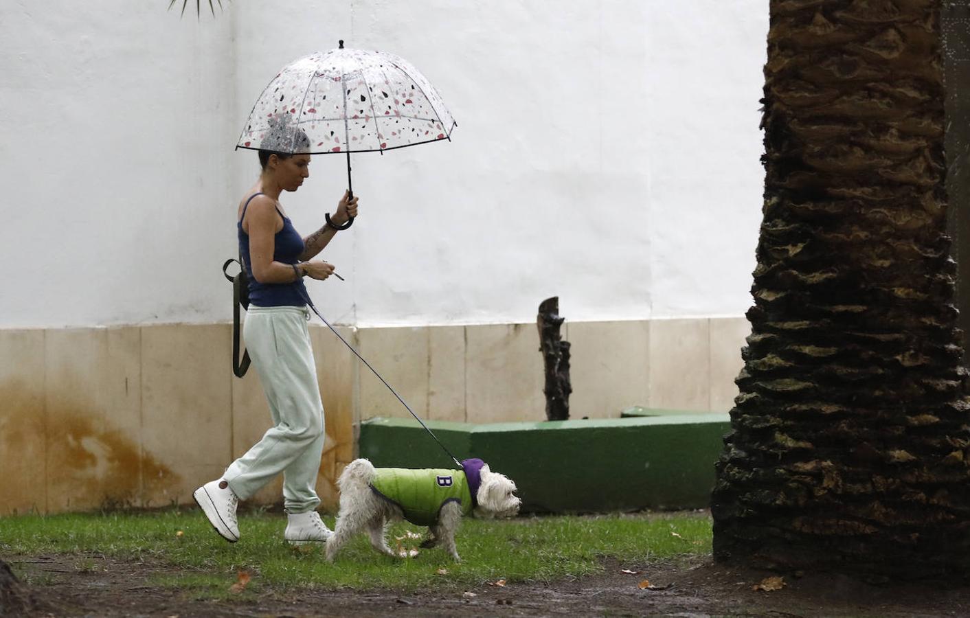 El regreso de las lluvias a Córdoba, en imágenes