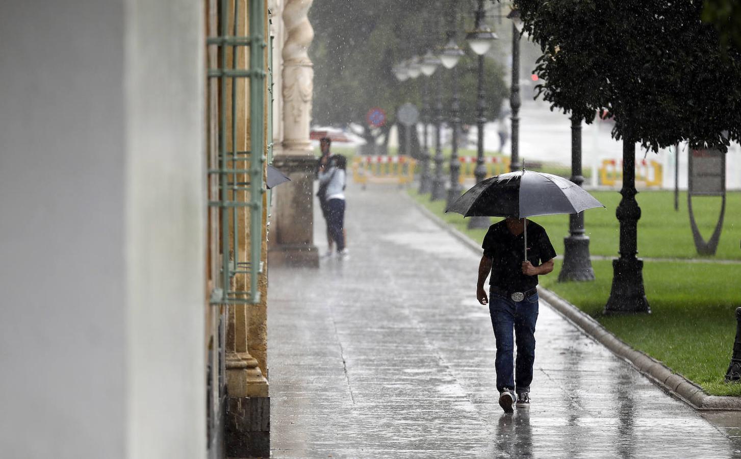 El regreso de las lluvias a Córdoba, en imágenes