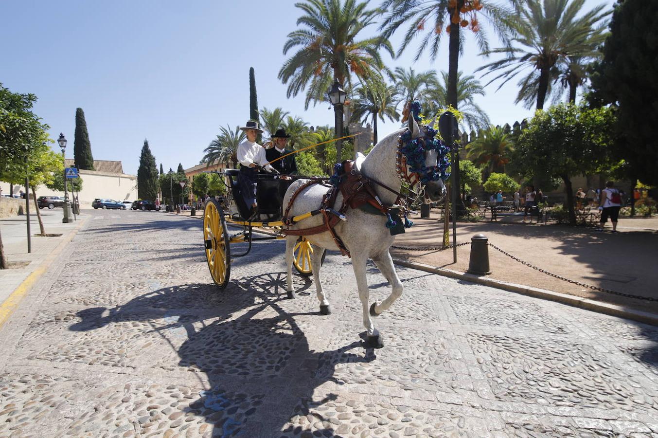Cabalcor | El concurso de Atalajes de Tradición en Córdoba, en imágenes