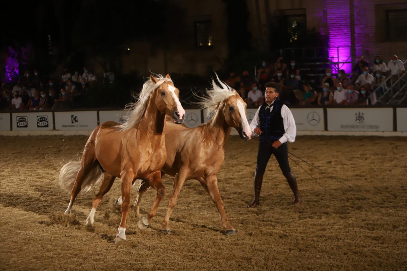 El espectáculo &#039;Armonía Ecuestre&#039; de Cabalcor, en imágenes