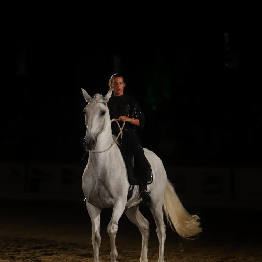 El espectáculo &#039;Armonía Ecuestre&#039; de Cabalcor, en imágenes