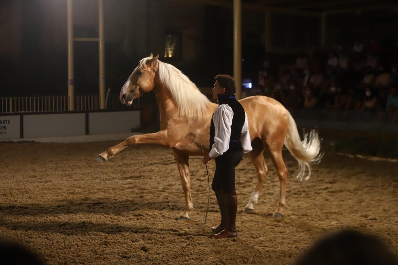 El espectáculo &#039;Armonía Ecuestre&#039; de Cabalcor, en imágenes