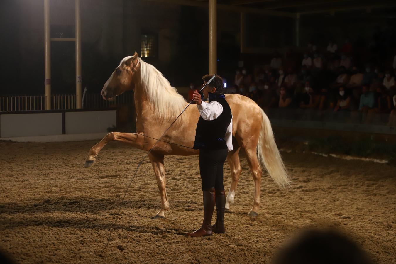 El espectáculo &#039;Armonía Ecuestre&#039; de Cabalcor, en imágenes