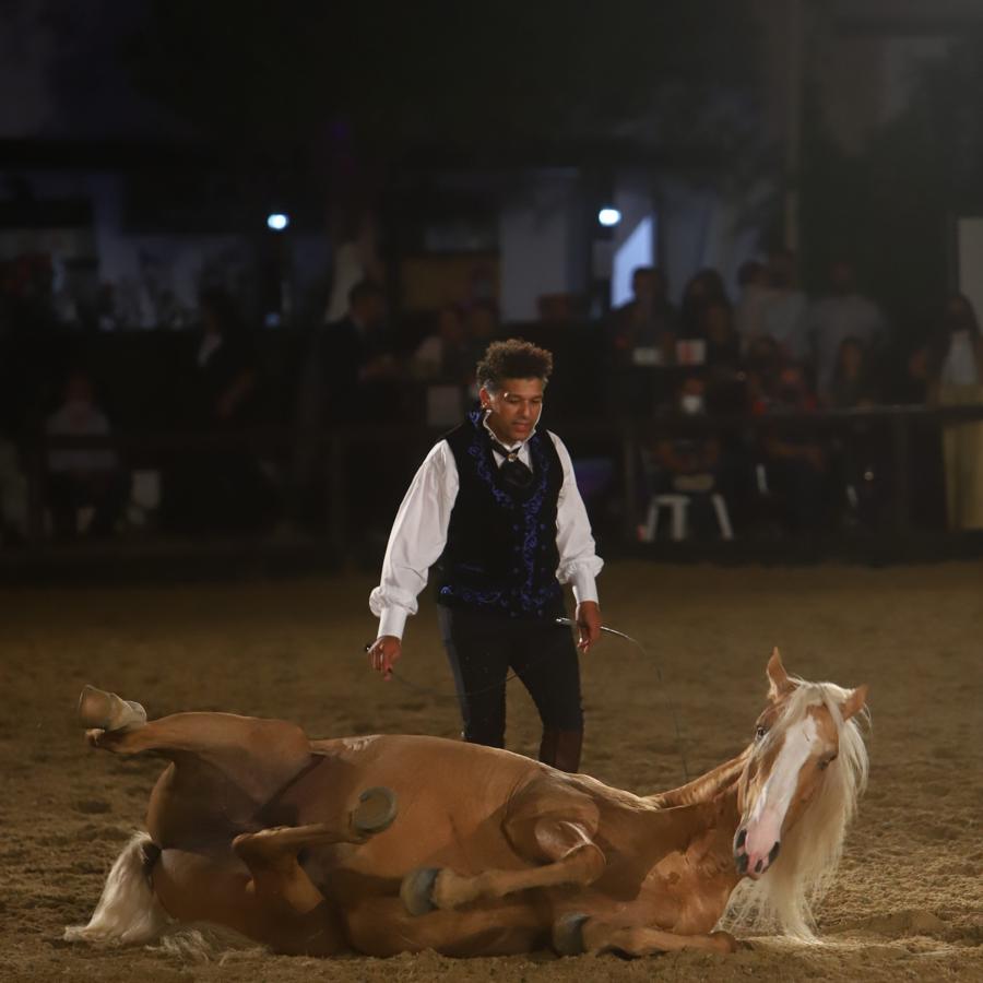 El espectáculo &#039;Armonía Ecuestre&#039; de Cabalcor, en imágenes