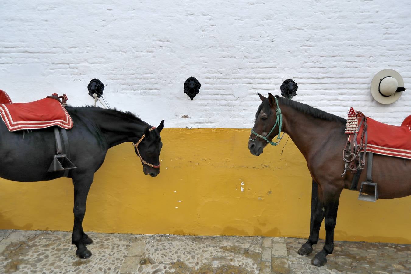 En imágenes, segunda corrida de la Feria de San Miguel en la Real Maestranza de Sevilla