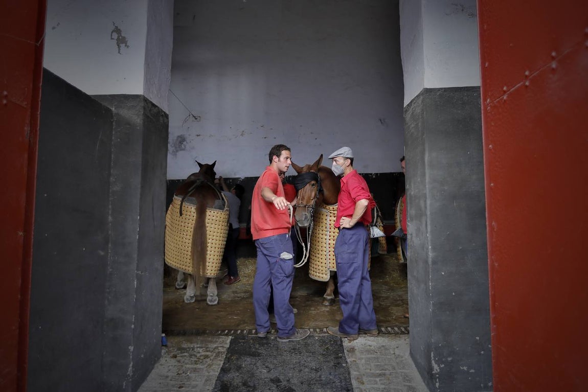 En imágenes, segunda corrida de la Feria de San Miguel en la Real Maestranza de Sevilla
