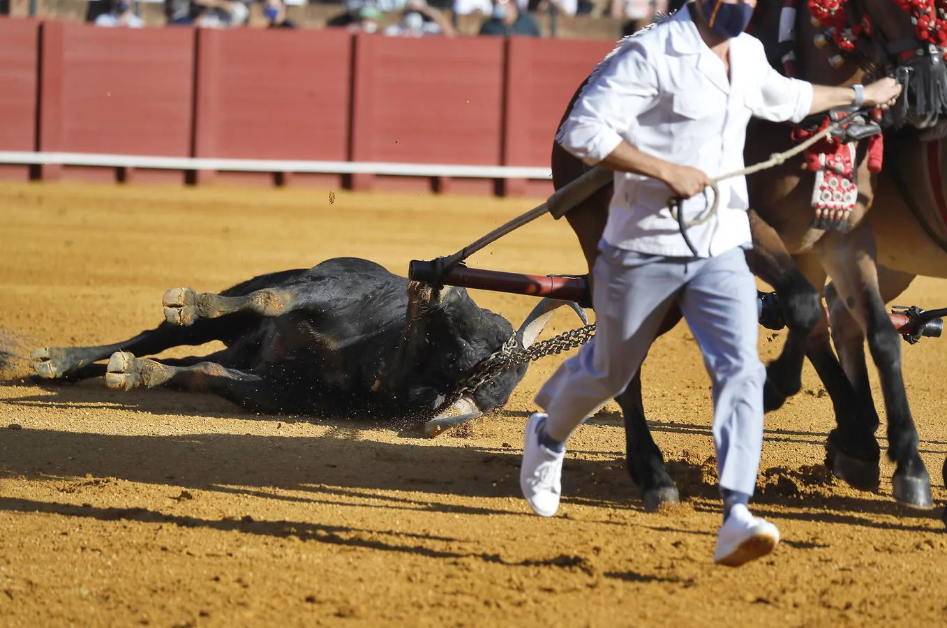En imágenes, segunda corrida de la Feria de San Miguel en la Real Maestranza de Sevilla