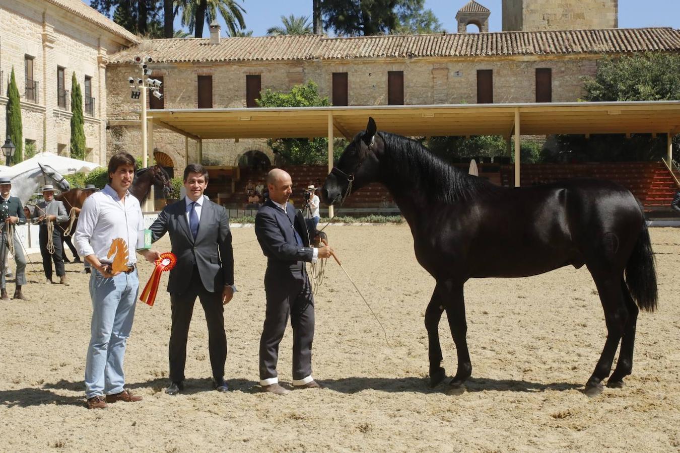 La entrega de Premios Cabalcor 2021 en Caballerizas Reales, en imágenes