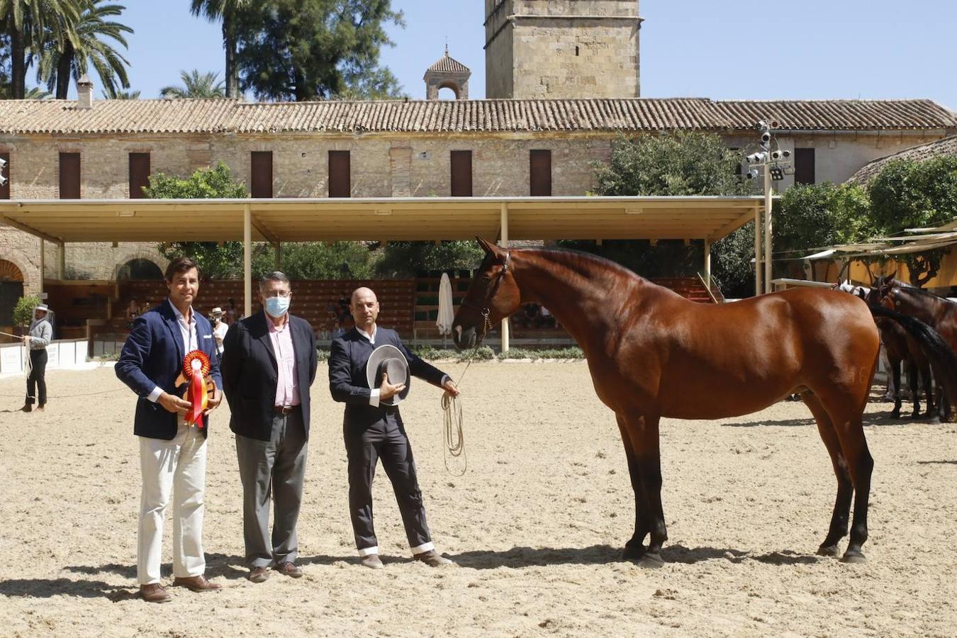 La entrega de Premios Cabalcor 2021 en Caballerizas Reales, en imágenes