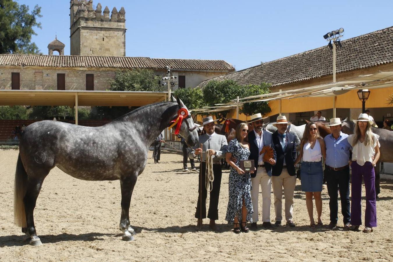 La entrega de Premios Cabalcor 2021 en Caballerizas Reales, en imágenes