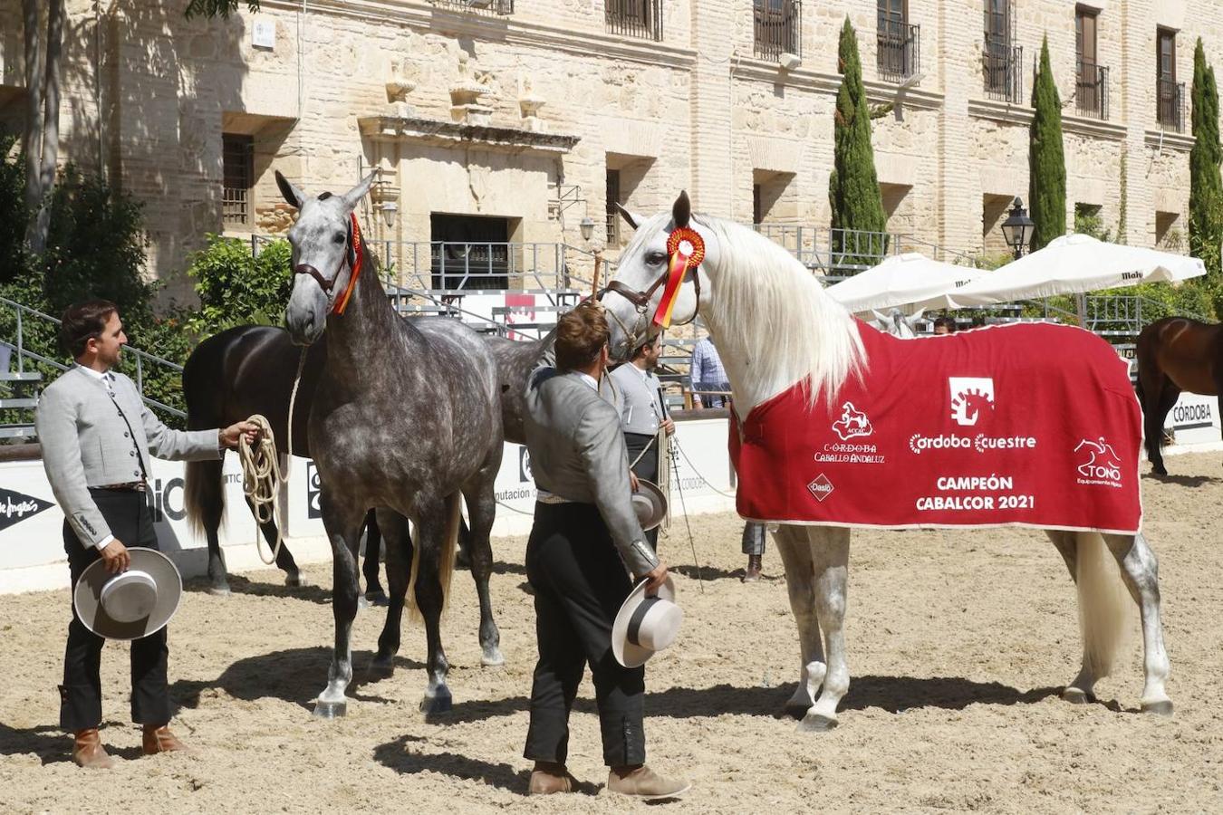 La entrega de Premios Cabalcor 2021 en Caballerizas Reales, en imágenes