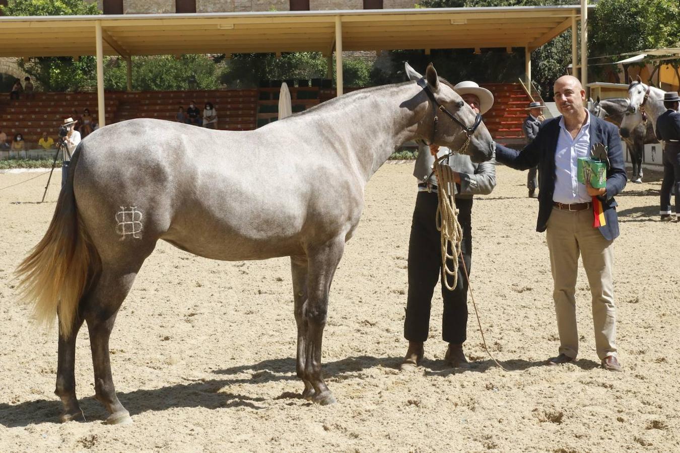 La entrega de Premios Cabalcor 2021 en Caballerizas Reales, en imágenes