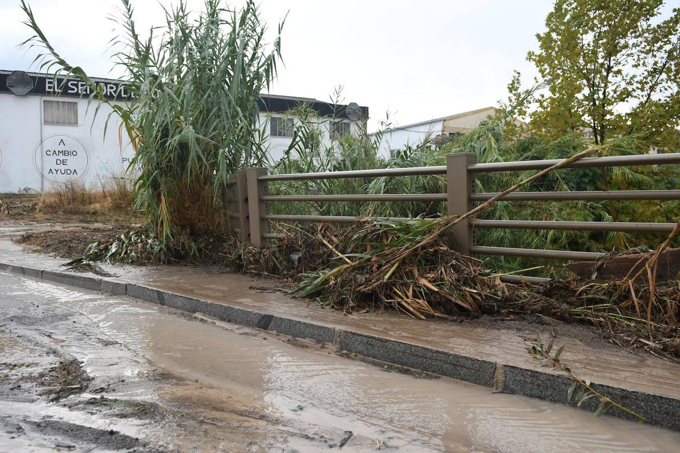 Inundaciones en Córdoba | La tromba de agua en Lucena y sus consecuencias, en imágenes