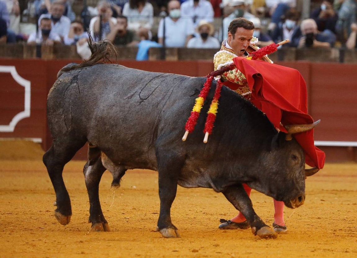 Antonio Ferrera, de carmín y oro, en la Maestranza