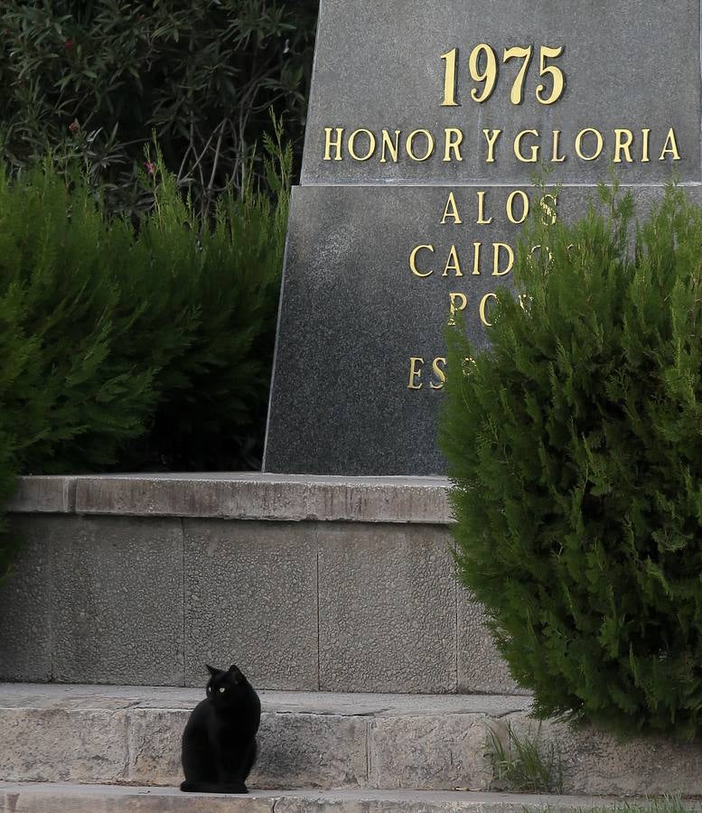 Izado de bandera en Tablada, con los carruajes participantes en el primer paseo por la ciudad.