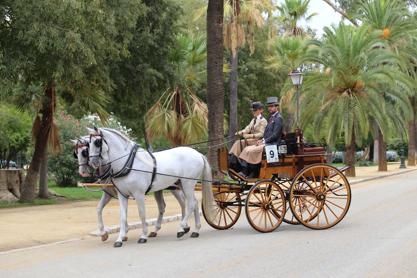 Paseo de carruajes por el Parque de María Luisa