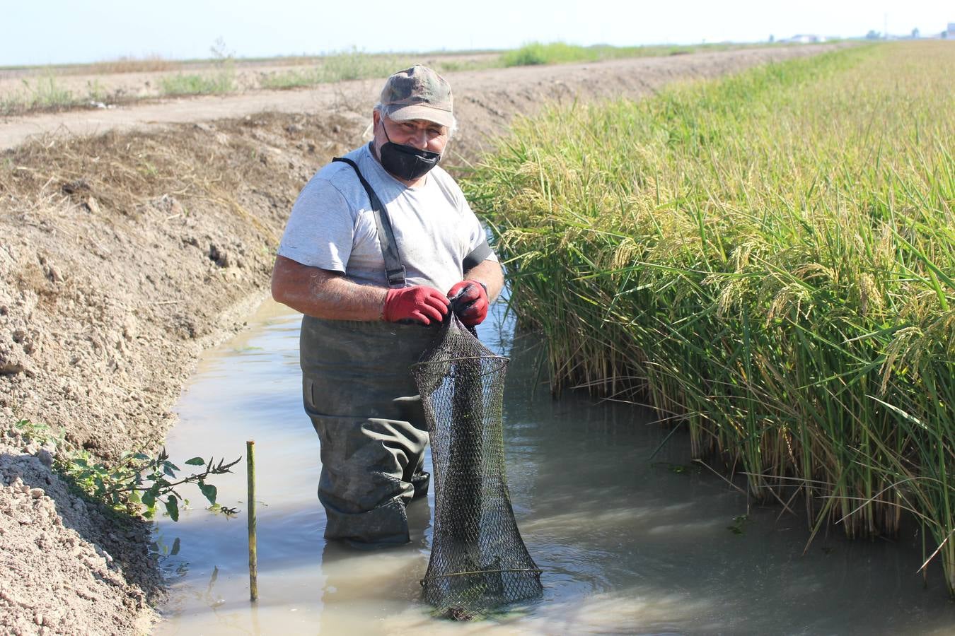 En imágenes, malos tiempos para la pesca del cangrejo rojo en Sevilla