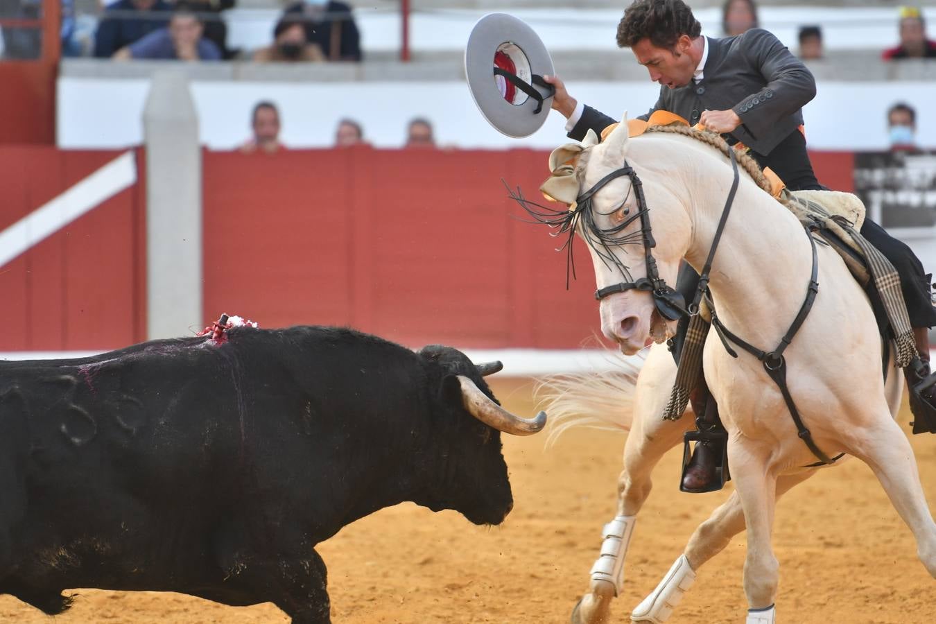 En imágenes, la triunfal tarde de rejones en la feria taurina de Pozoblanco