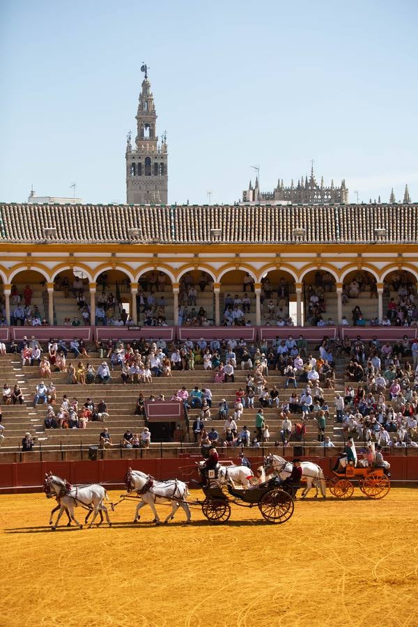 La Exhibición de Enganches vuelve a la Real Maestranza de Sevilla