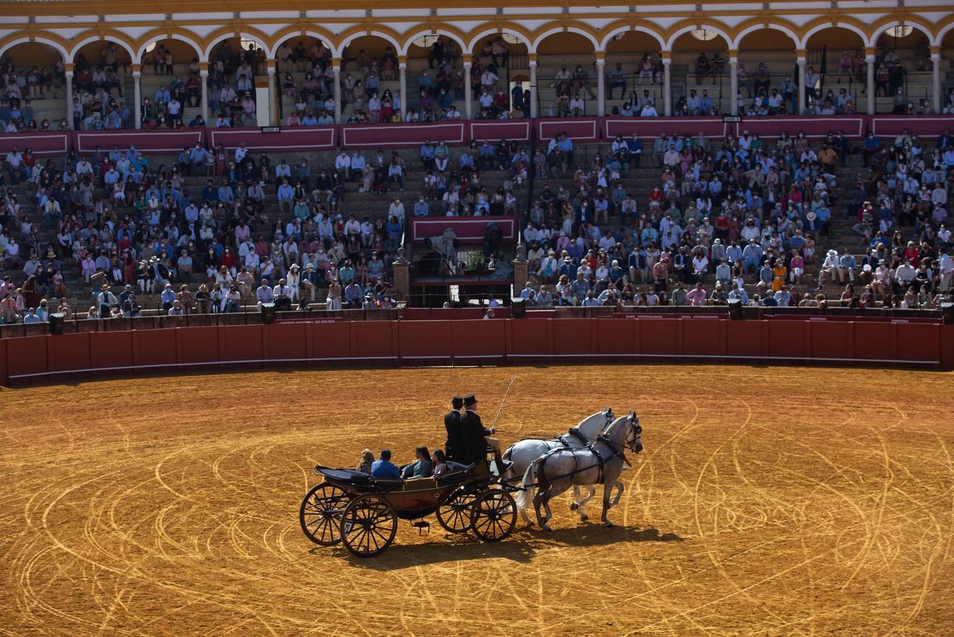 La Exhibición de Enganches vuelve a la Real Maestranza de Sevilla