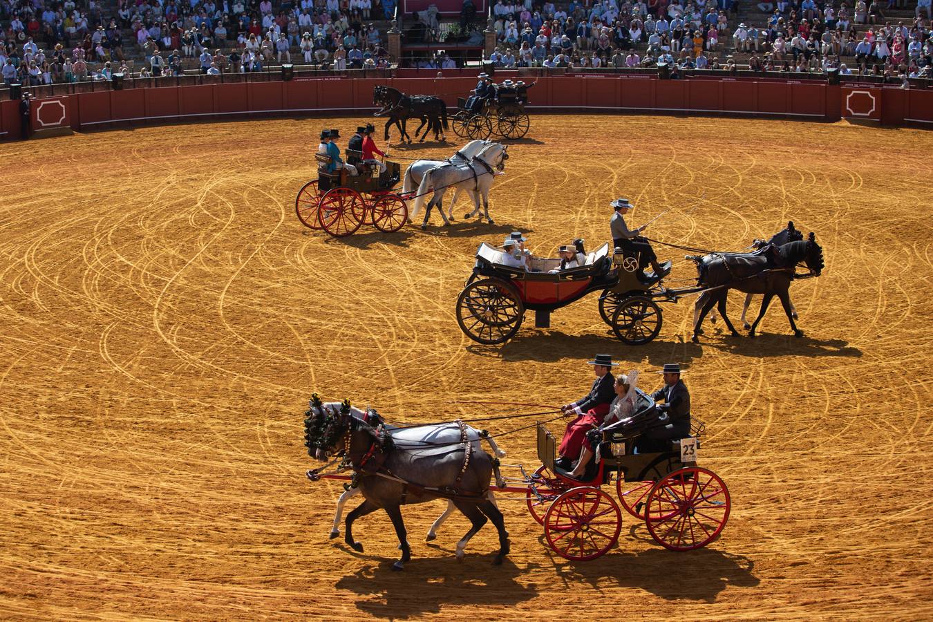 La Exhibición de Enganches vuelve a la Real Maestranza de Sevilla