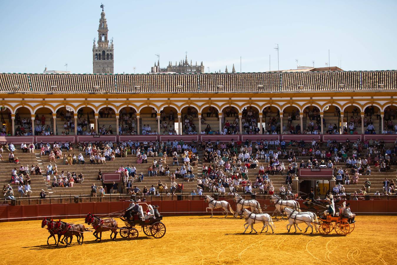 La Exhibición de Enganches vuelve a la Real Maestranza de Sevilla