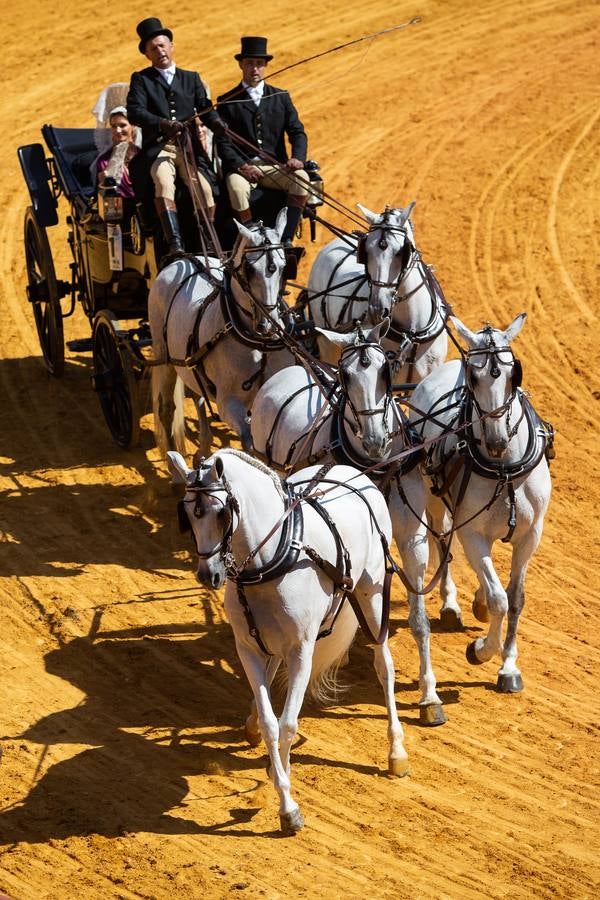 La Exhibición de Enganches vuelve a la Real Maestranza de Sevilla