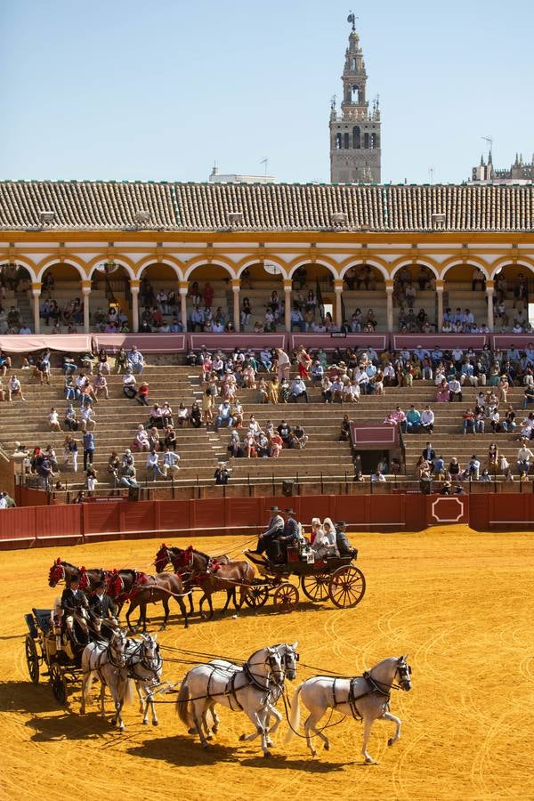 La Exhibición de Enganches vuelve a la Real Maestranza de Sevilla