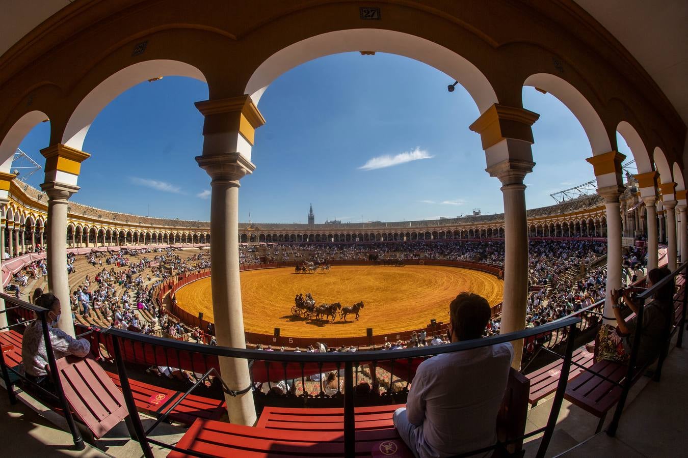 La Exhibición de Enganches vuelve a la Real Maestranza de Sevilla