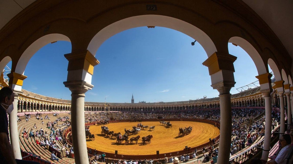 La Exhibición de Enganches vuelve a la Real Maestranza de Sevilla