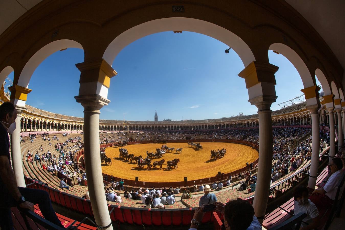 La Exhibición de Enganches vuelve a la Real Maestranza de Sevilla