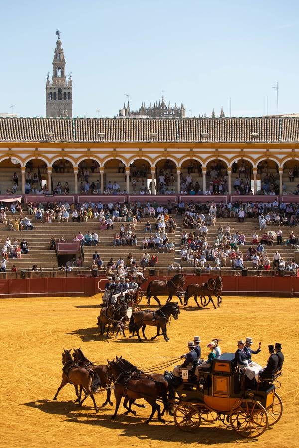 La Exhibición de Enganches vuelve a la Real Maestranza de Sevilla