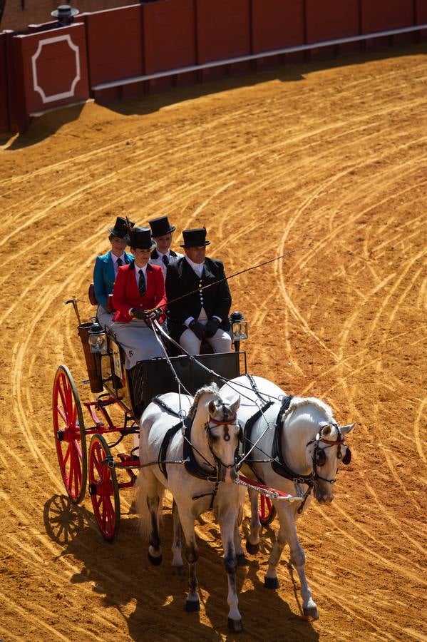 La Exhibición de Enganches vuelve a la Real Maestranza de Sevilla