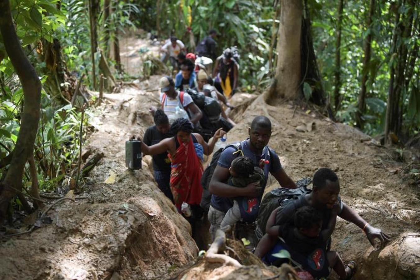 El terreno de la selva es bastante escarpado y estrecho lo cual dificulta el camino. 