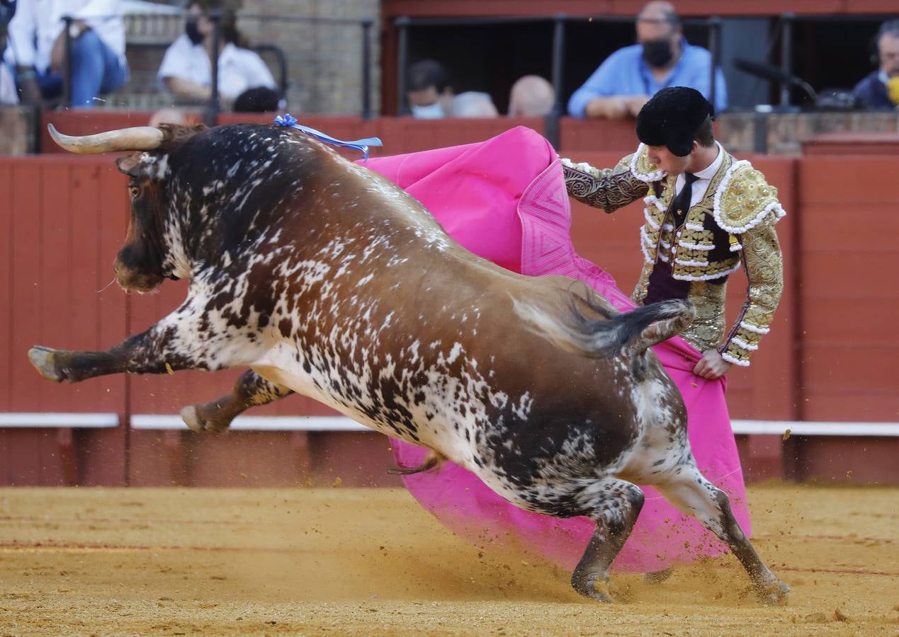 En imágenes, novillada del martes de la Feria de San Miguel de Sevilla