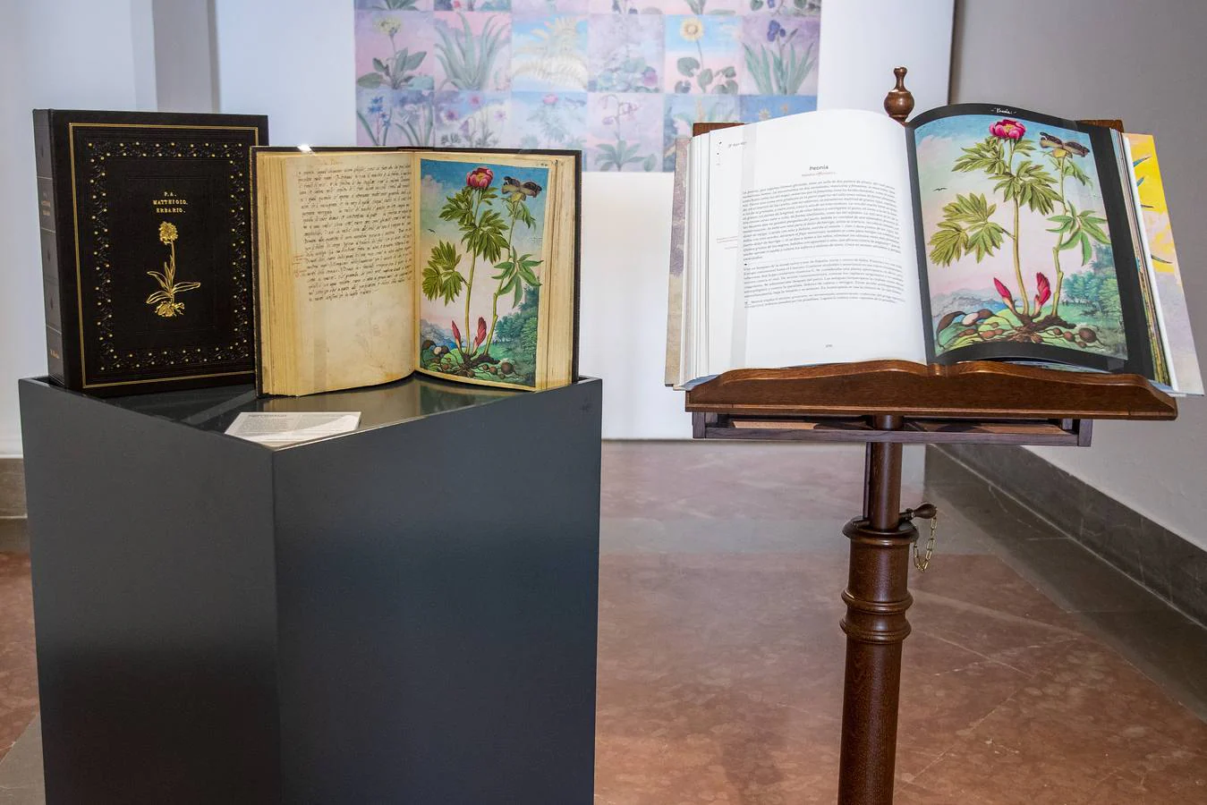En imágenes, la exposición &#039;Plantas y flores curativas en los códices iluminados (siglos X - XVI)&#039; en el Alcázar de Sevilla