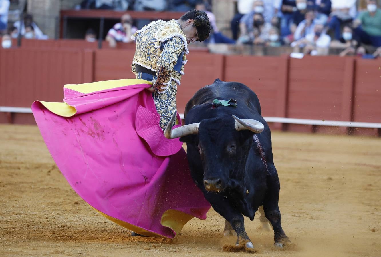 Daniel Luque, de azul y oro en la Maestranza