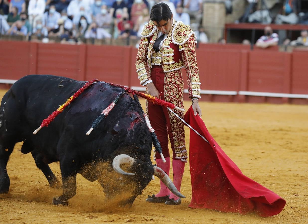 Miguel Ángel Perera, de sangre de toro y oro en la Maestranza