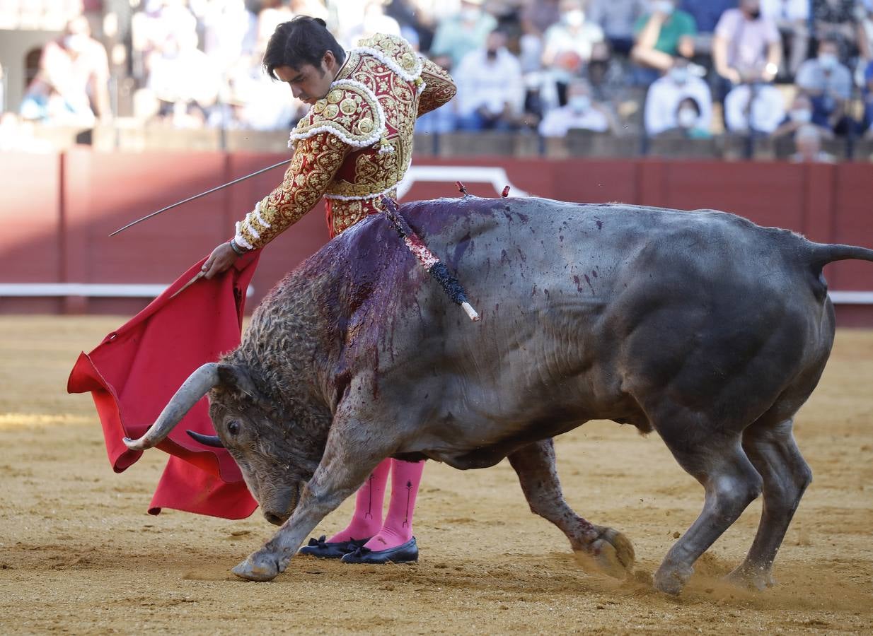 Miguel Ángel Perera, de sangre de toro y oro en la Maestranza