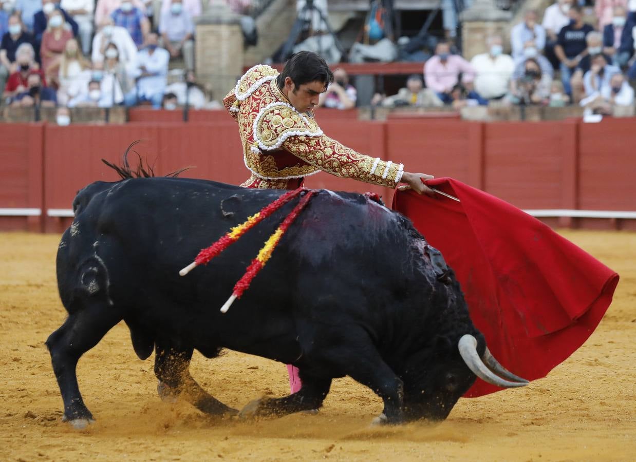 Miguel Ángel Perera, de sangre de toro y oro en la Maestranza