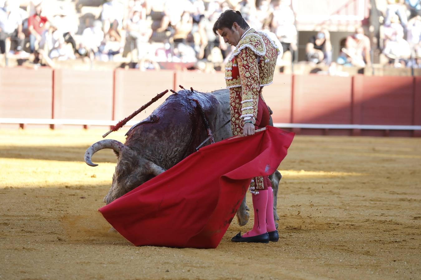 Miguel Ángel Perera, de sangre de toro y oro en la Maestranza